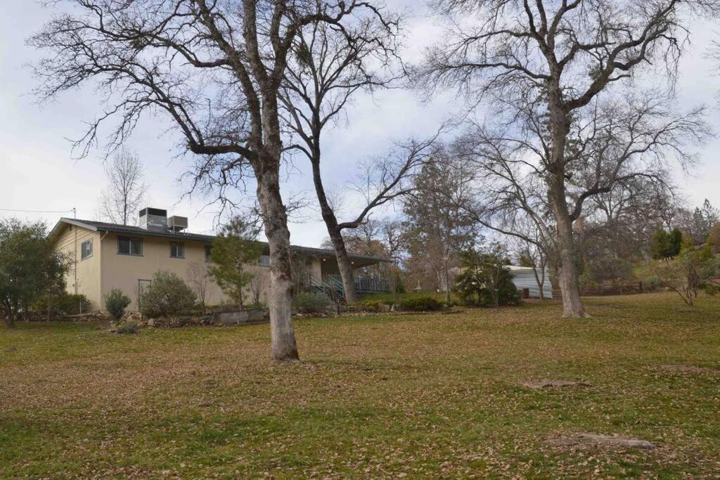 Beautiful 3 Bedroom Home Located Near Yosemite Oakhurst Dış mekan fotoğraf